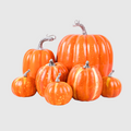 Glossy Glam Pumpkin Set