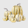 Glossy Glam Pumpkin Set