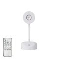 Halo Motion Sensor Light