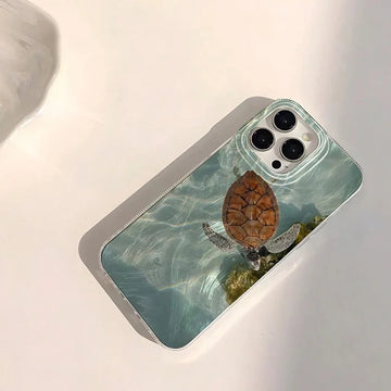 Shoreline Turtle Shell