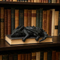 Sleeping Dragon Bookshelf Figurine