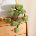 Soft Pothos Plush Plant