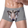 Wolf Gaze Boxers