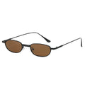 Astera Sunglasses