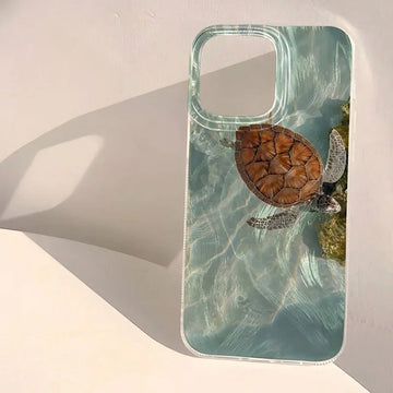 Shoreline Turtle Shell