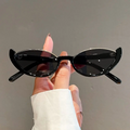 VERITE Cat Eye Sunglasses