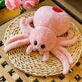 Itsy Bitsy Spider Pillows