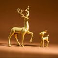 Doe, a Deer, a Female Deer and Her Adorable Fawn